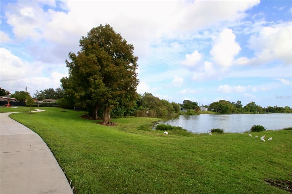 合同活跃: $295,000 (4 贝兹, 2 浴室, 1845 平方英尺)