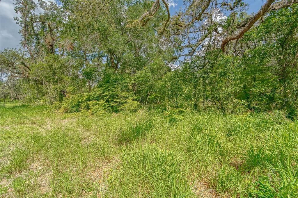 На продажу: $325,000 (1.89 acres)