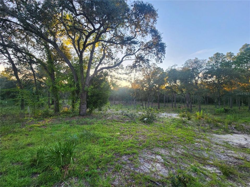 На продажу: $29,900 (1.25 acres)