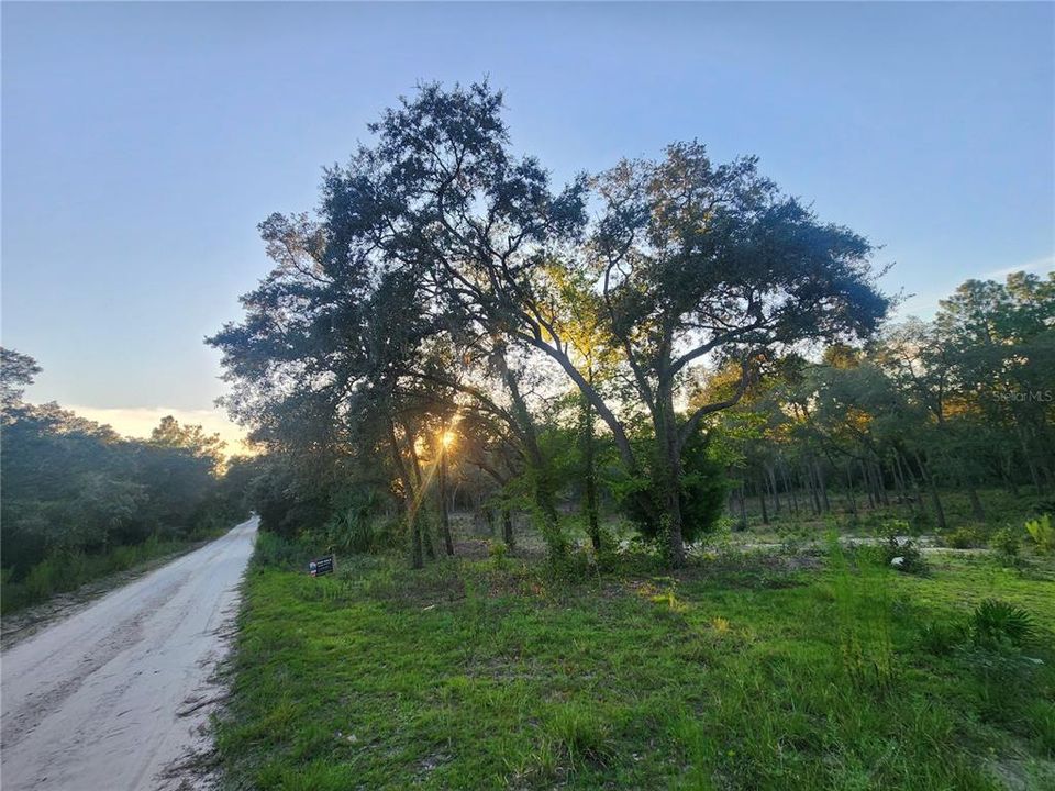 На продажу: $29,900 (1.25 acres)