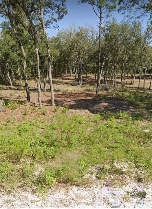 На продажу: $29,900 (1.25 acres)
