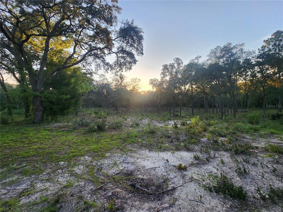 На продажу: $29,900 (1.25 acres)