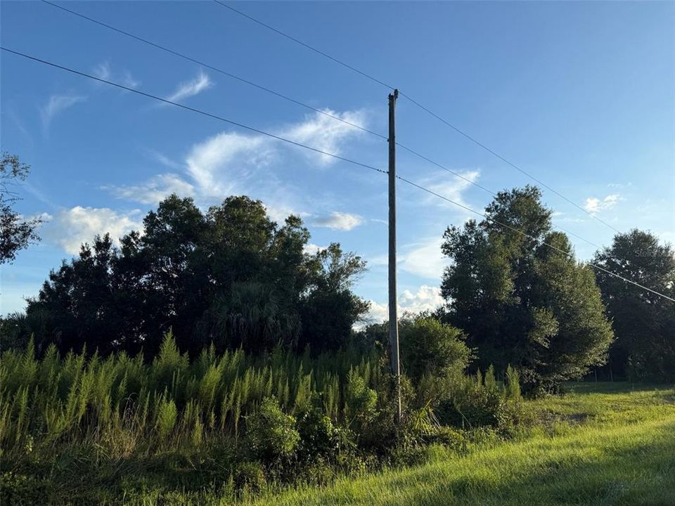 待售: $44,900 (1.25 acres)