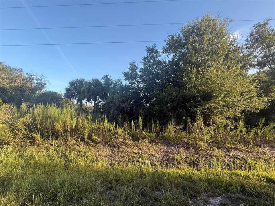 待售: $44,900 (1.25 acres)