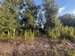 待售: $44,900 (1.25 acres)