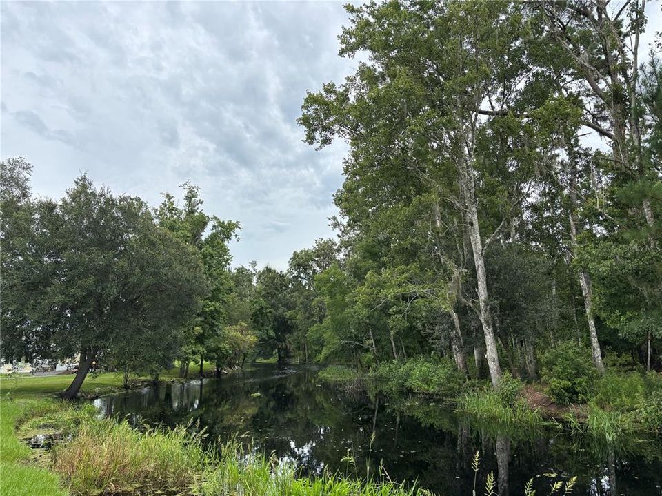 待售: $90,000 (2 贝兹, 1 浴室, 740 平方英尺)