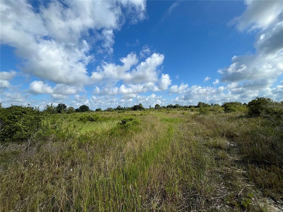 待售: $24,900 (1.50 acres)