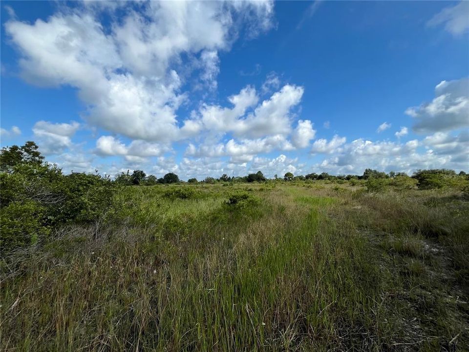 待售: $24,900 (1.50 acres)