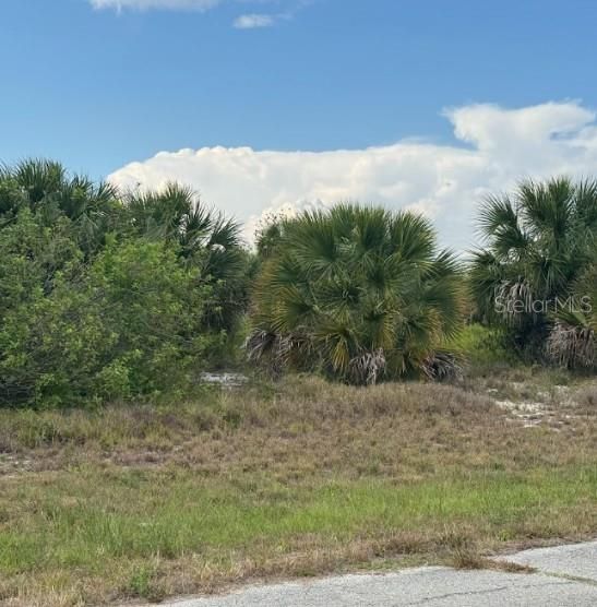 待售: $19,450 (0.23 acres)