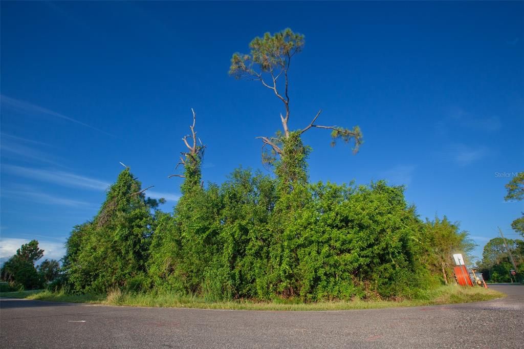 Active With Contract: $25,000 (0.25 acres)