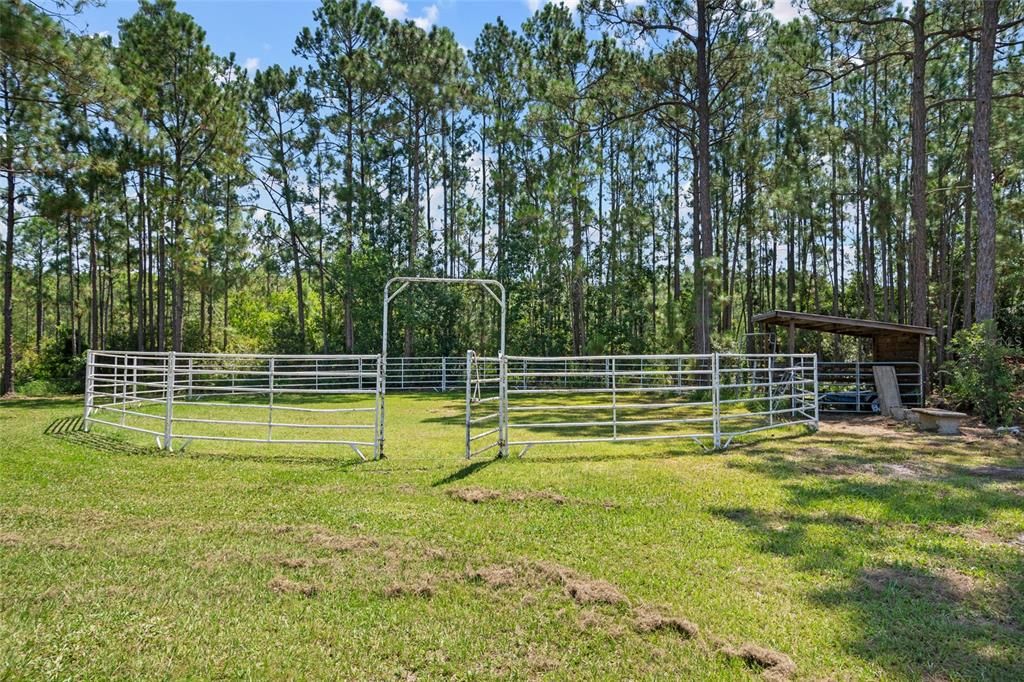 En Venta: $999,997 (4 camas, 3 baños, 3210 Pies cuadrados)