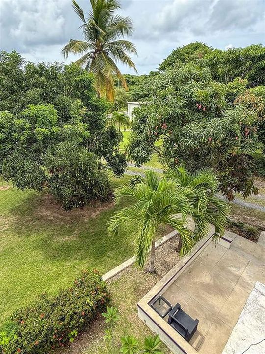 For Sale: $1,350,000 (15 beds, 12 baths, 8500 Square Feet)