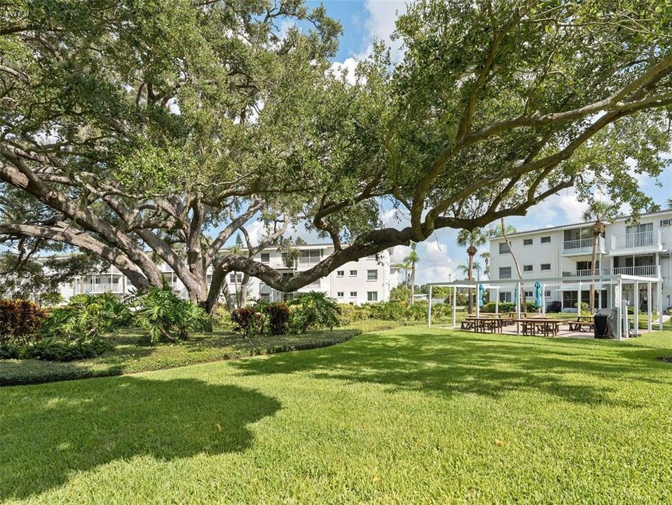 Под контрактом: $83,000 (1 спален, 1 ванн, 576 Квадратных фут)