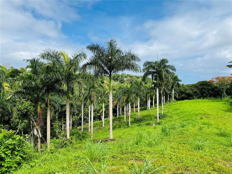 Недавно продано: $189,000 (8.03 acres)