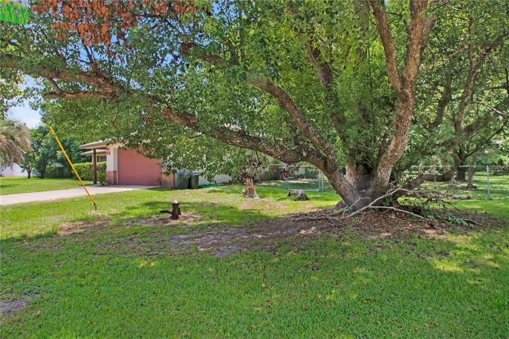 На продажу: $280,000 (2 спален, 2 ванн, 1205 Квадратных фут)