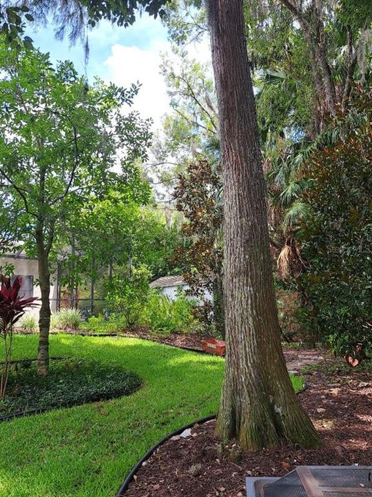 For Sale: $830,000 (4 beds, 2 baths, 2954 Square Feet)