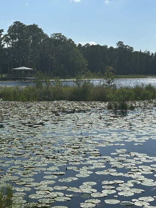 For Sale: $830,000 (4 beds, 2 baths, 2954 Square Feet)