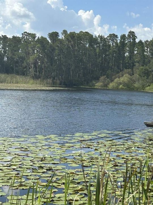 For Sale: $830,000 (4 beds, 2 baths, 2954 Square Feet)