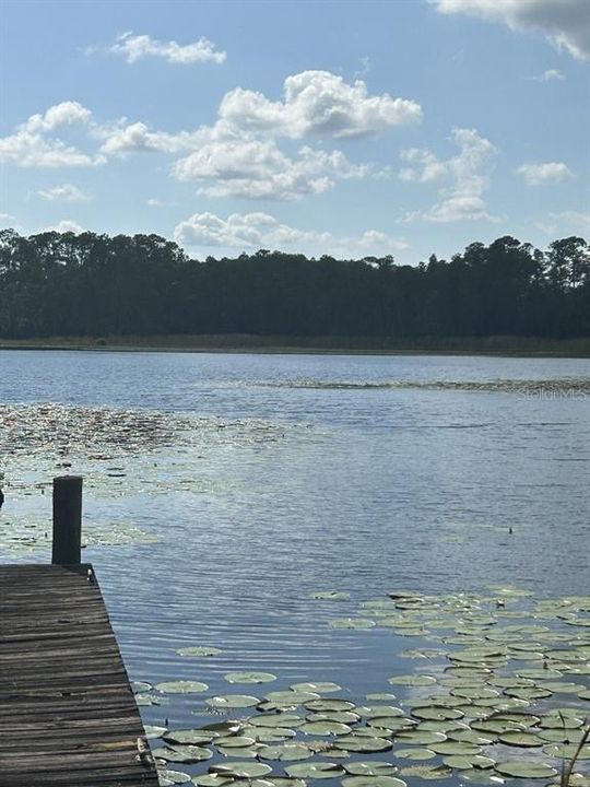 For Sale: $830,000 (4 beds, 2 baths, 2954 Square Feet)