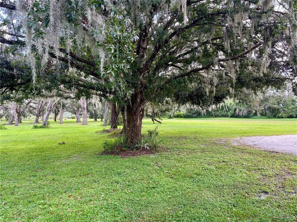 For Sale: $1,250,000 (4 beds, 3 baths, 2530 Square Feet)