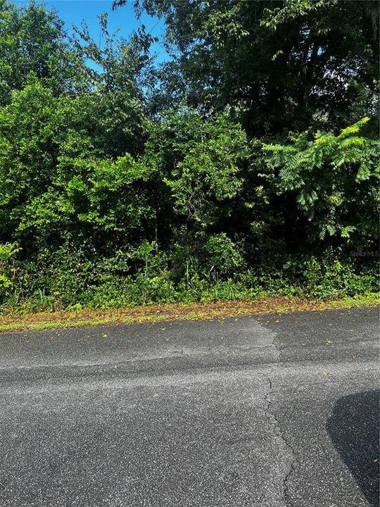 Recently Sold: $55,500 (0.34 acres)