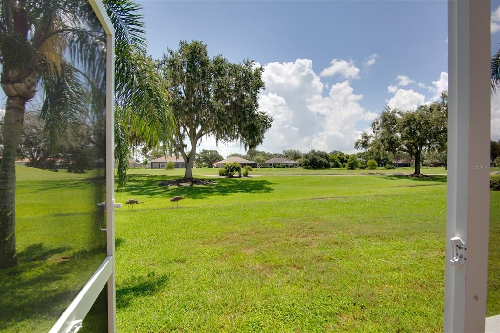 En Renta: $4,600 (4 camas, 3 baños, 3073 Pies cuadrados)