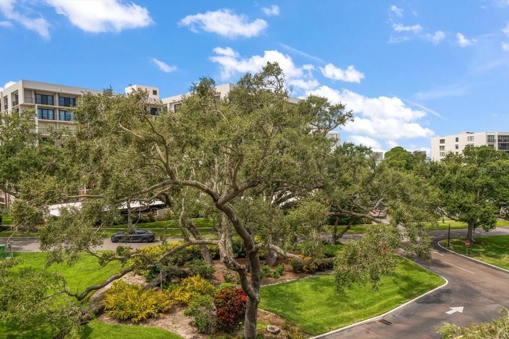 En Venta: $375,000 (2 camas, 2 baños, 1385 Pies cuadrados)