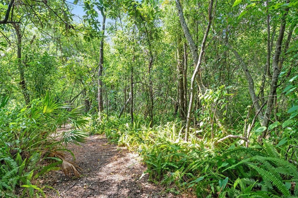 Active With Contract: $375,000 (3 beds, 2 baths, 2410 Square Feet)