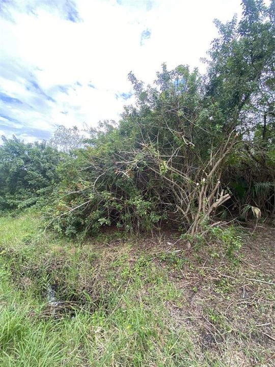 En Venta: $45,000 (0.39 acres)