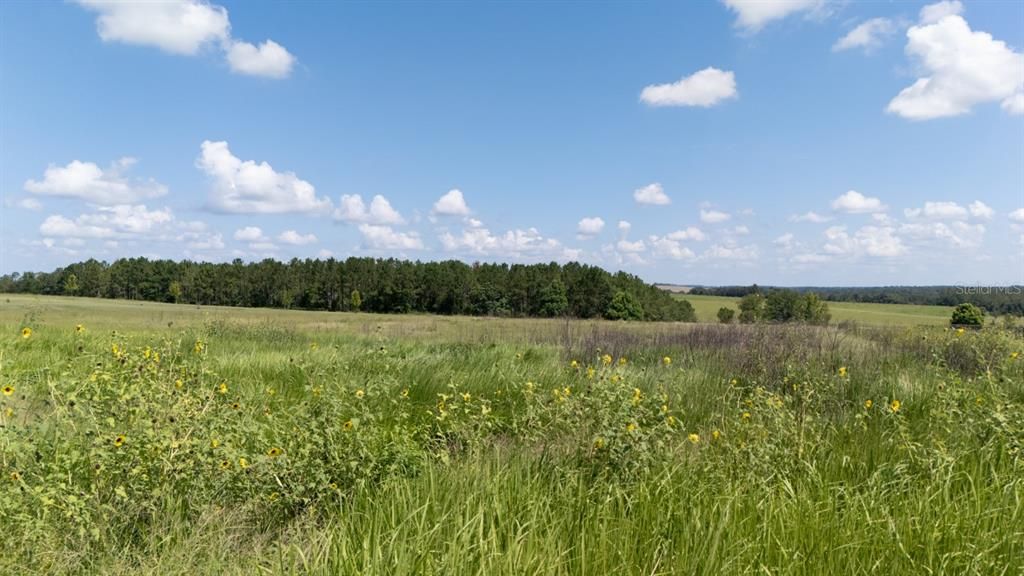 For Sale: $375,000 (4.42 acres)