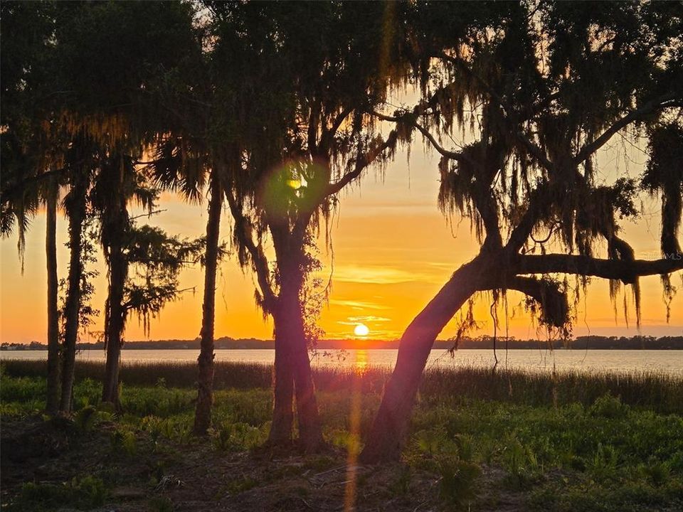 For Sale: $799,999 (1.44 acres)