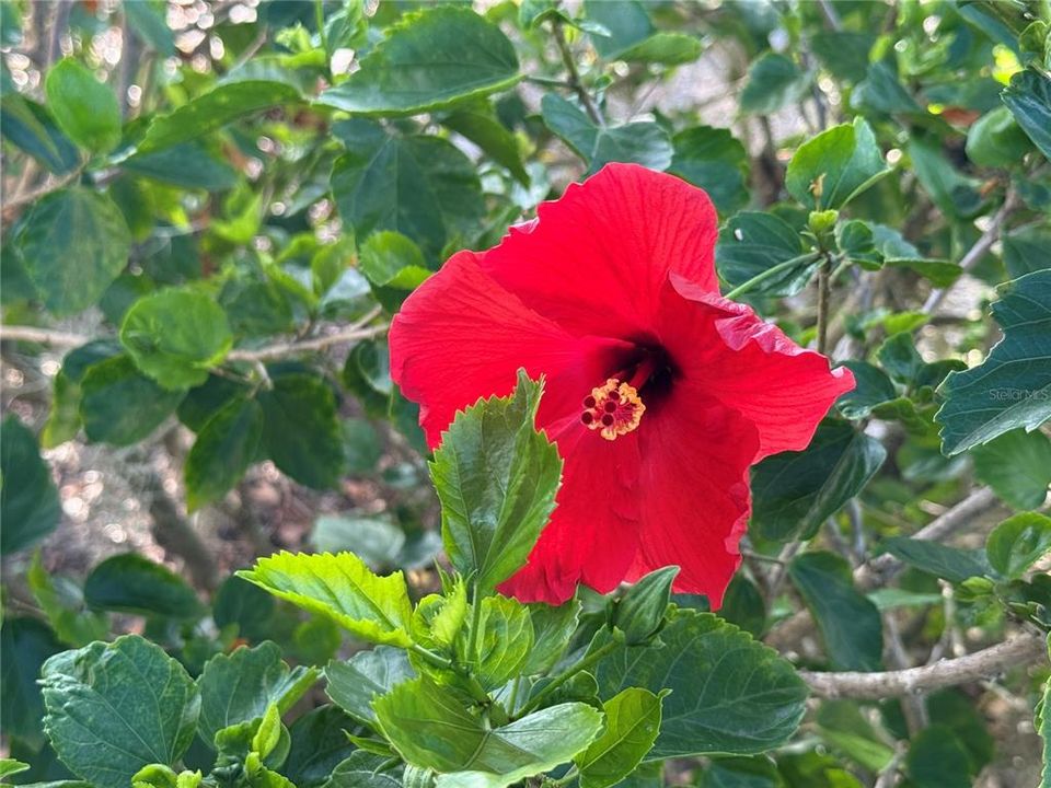 Active With Contract: $289,000 (3 beds, 2 baths, 1501 Square Feet)