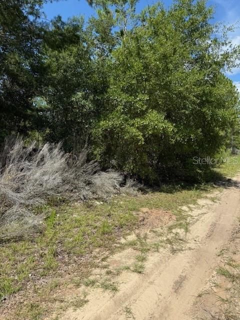 待售: $5,500 (0.10 acres)