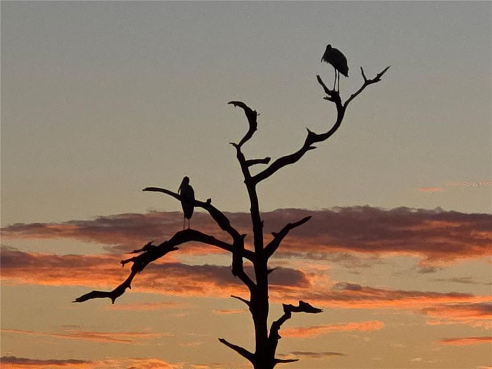 На продажу: $599,900 (3 спален, 2 ванн, 1596 Квадратных фут)