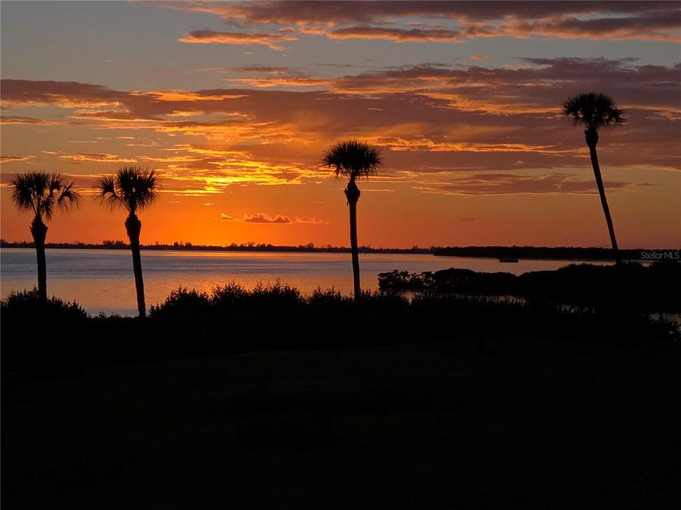 На продажу: $599,900 (3 спален, 2 ванн, 1596 Квадратных фут)