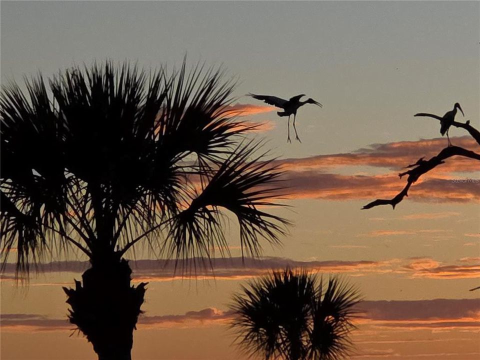 На продажу: $599,900 (3 спален, 2 ванн, 1596 Квадратных фут)