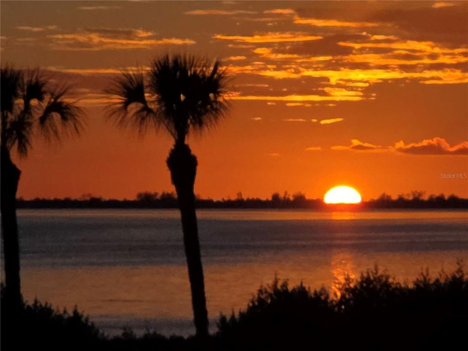 На продажу: $599,900 (3 спален, 2 ванн, 1596 Квадратных фут)