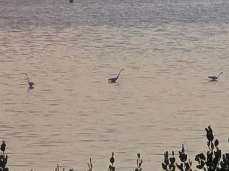 На продажу: $599,900 (3 спален, 2 ванн, 1596 Квадратных фут)