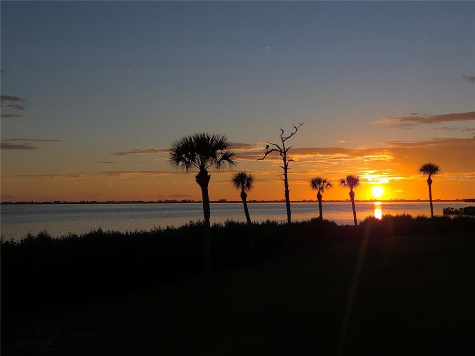 На продажу: $599,900 (3 спален, 2 ванн, 1596 Квадратных фут)