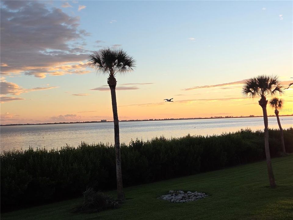 На продажу: $599,900 (3 спален, 2 ванн, 1596 Квадратных фут)