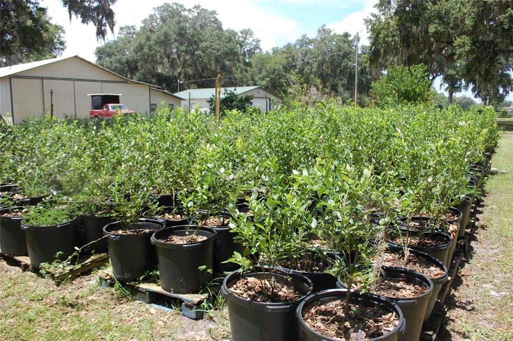 For Sale: $800,000 (3 beds, 2 baths, 2268 Square Feet)