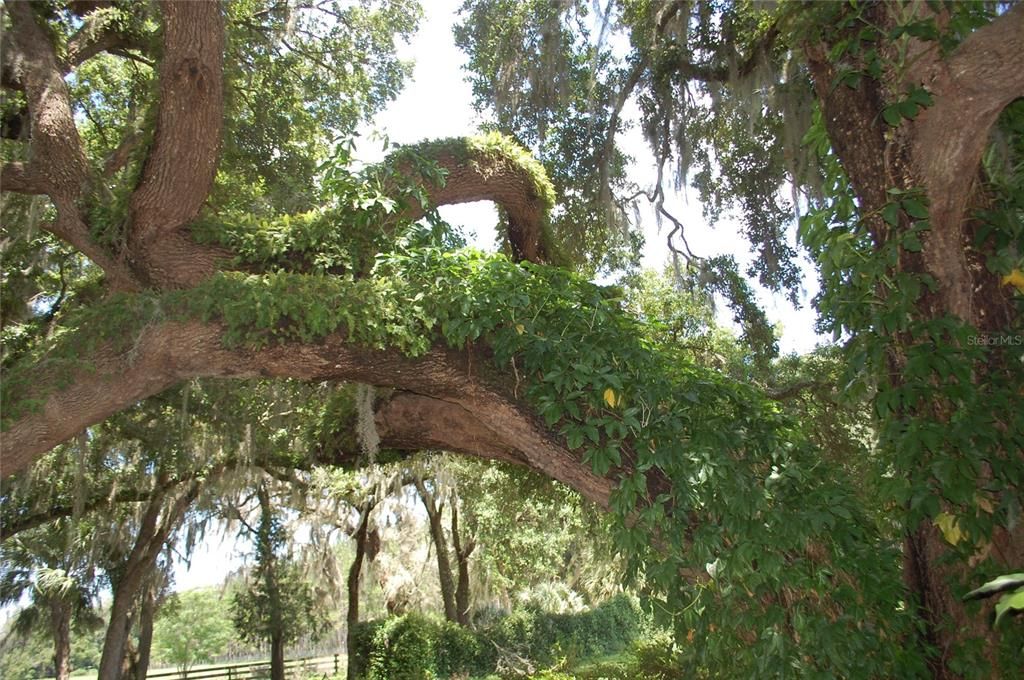 For Sale: $800,000 (3 beds, 2 baths, 2268 Square Feet)