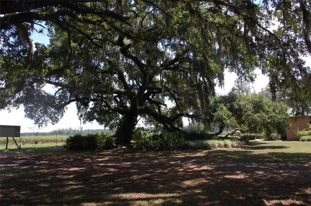 For Sale: $800,000 (3 beds, 2 baths, 2268 Square Feet)