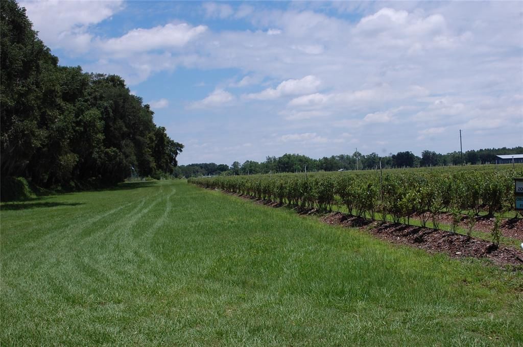 For Sale: $800,000 (3 beds, 2 baths, 2268 Square Feet)