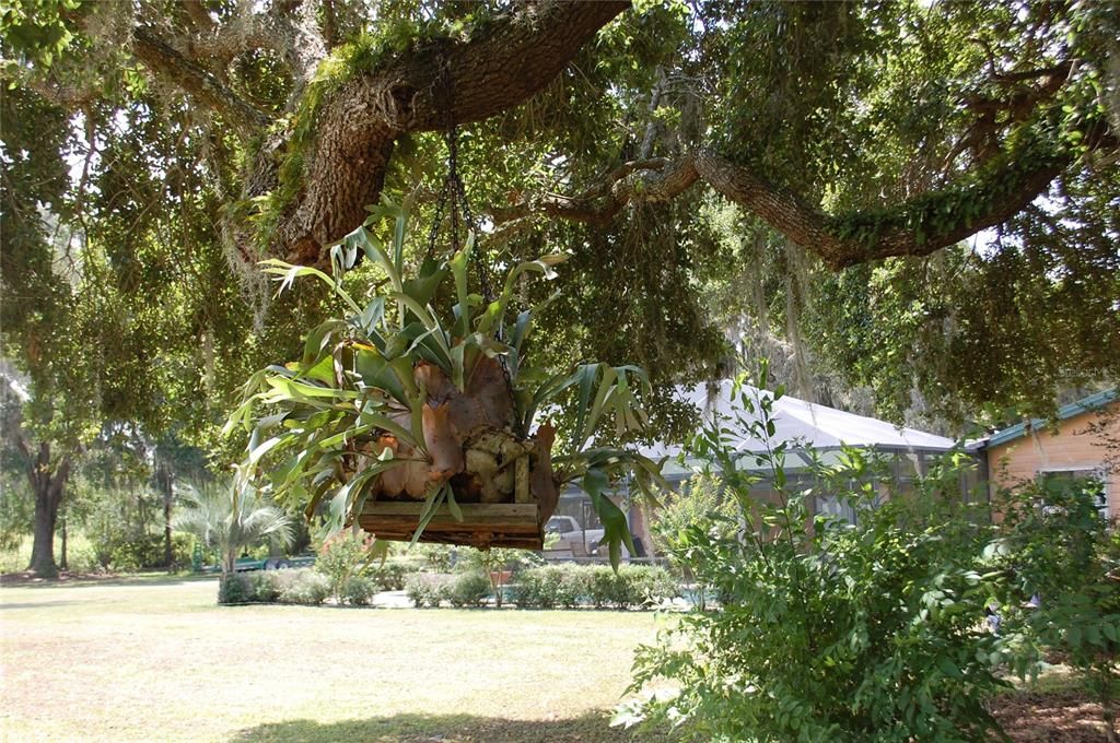 For Sale: $800,000 (3 beds, 2 baths, 2268 Square Feet)