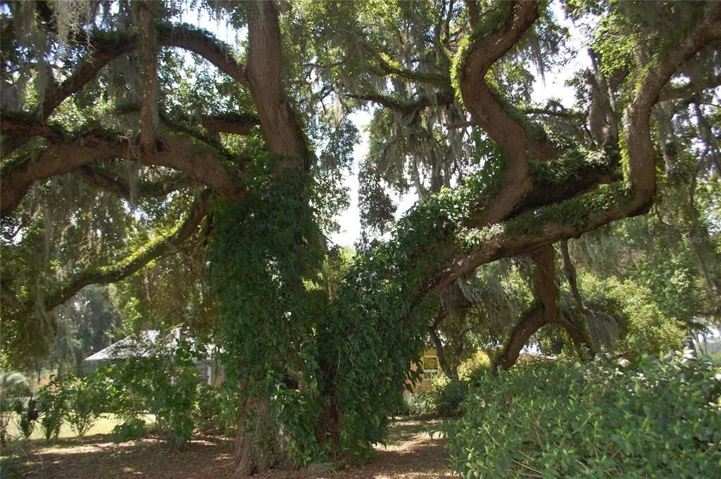 For Sale: $800,000 (3 beds, 2 baths, 2268 Square Feet)