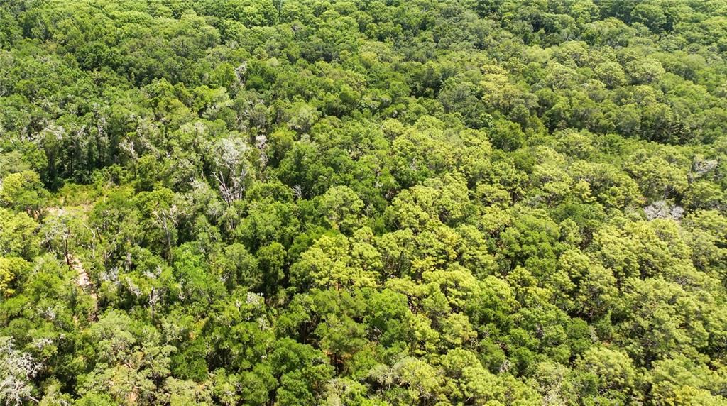 For Sale: $23,000 (0.26 acres)