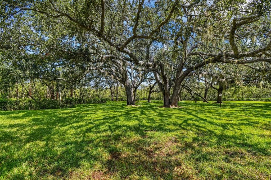 待售: $100,000 (2 贝兹, 1 浴室, 891 平方英尺)