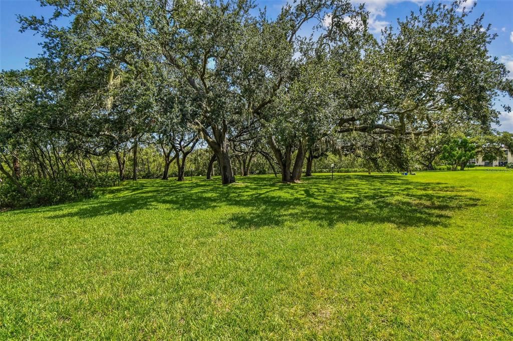 待售: $100,000 (2 贝兹, 1 浴室, 891 平方英尺)