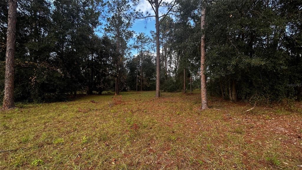 For Sale: $439,000 (5.07 acres)